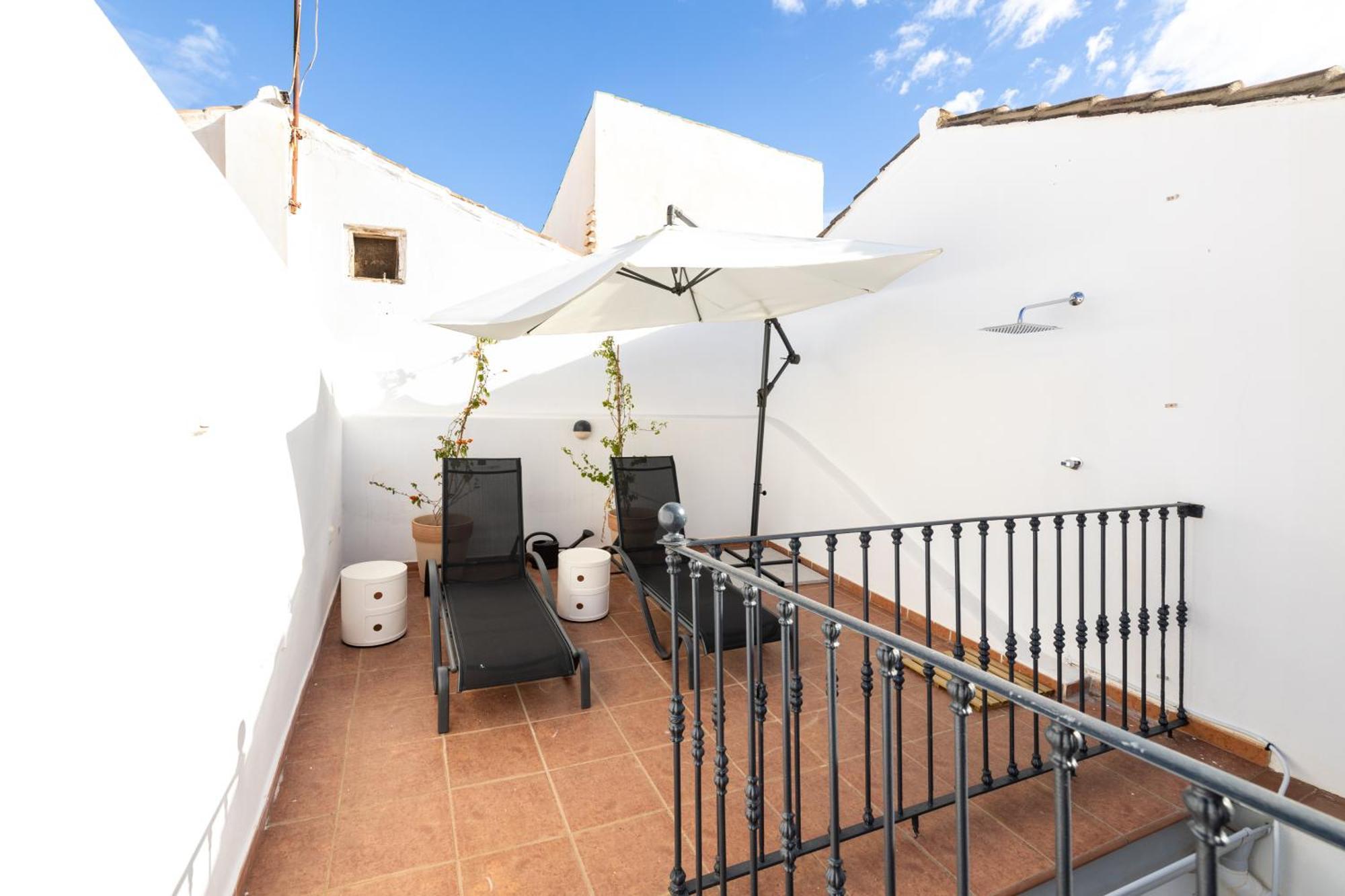 Apartment Spacious Bright Palace -1bedroom-terrace-center *
